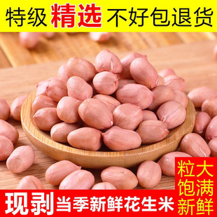 2025精选饱满新货白沙粉皮花生米家用榨油商用批发自种无壳花生仁