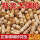 农家铁锅炒花生现炒炒熟带壳农家花生果带壳原味香 5斤抢
