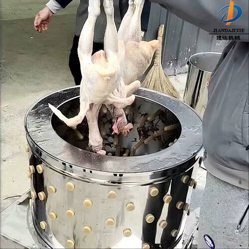 小型杀鸡脱毛机不锈钢商用家禽打毛机拔毛器鸡鸭家禽 价格