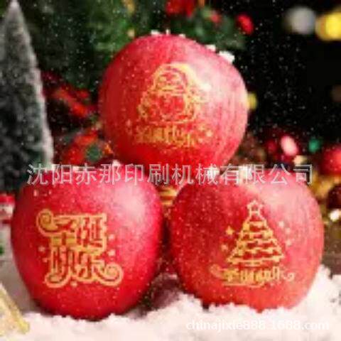 河北圣诞果平安果祝福语印字机 石家庄水果苹果上印图案移印机
