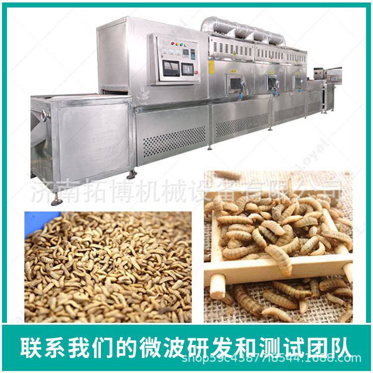 黑水虻烘干设备米线年糕食品微波机