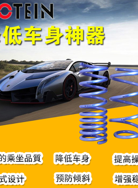 TEIN短簧短弹簧适用于丰田致炫致享爱唯欧玛驰速锐思锐秦蓝鸟弹簧