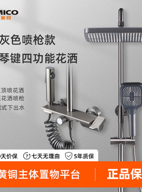 埃美柯全铜钢琴键淋浴花洒套装枪灰色带喷枪家用增压喷头淋雨洗澡