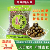 2025天长龙岗芡实高品质一级二青鸡头果新鲜鸡头米500g 包邮