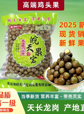 2025天长龙岗芡实高品质一级二青鸡头果新鲜鸡头米500g包邮