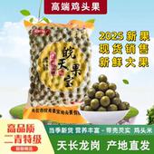 2025天长龙岗特产新鲜高品质特级二青鸡头果芡实鸡头果鸡头米