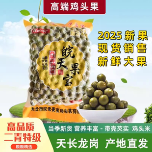 2025天长龙岗特产新鲜高品质特级二青鸡头果芡实鸡头果鸡头米