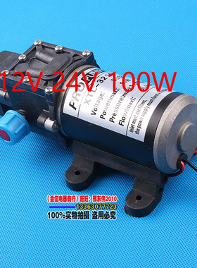 12V24V48V60V100W电动隔膜泵家用打压农用植保机打药喷雾自吸抽水