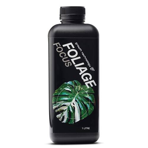观叶蕨类草本植物龟背竹营养液肥