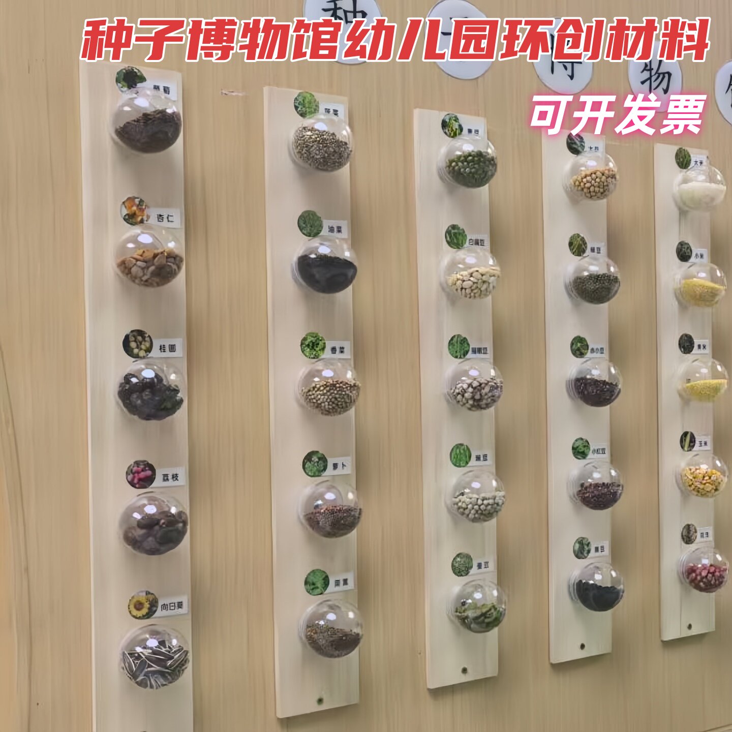 幼儿园环创材料教室种子博物馆