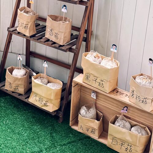 幼儿园自然植物角收纳袋教室环创