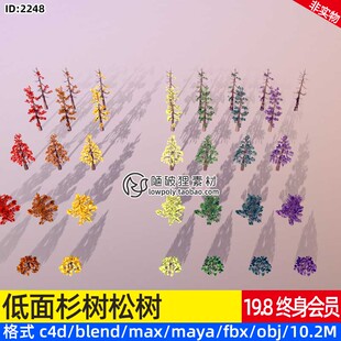 低面杉树松树3D模型C4D卡通树木MAX树林Blend素材源文件OBJ格式mb