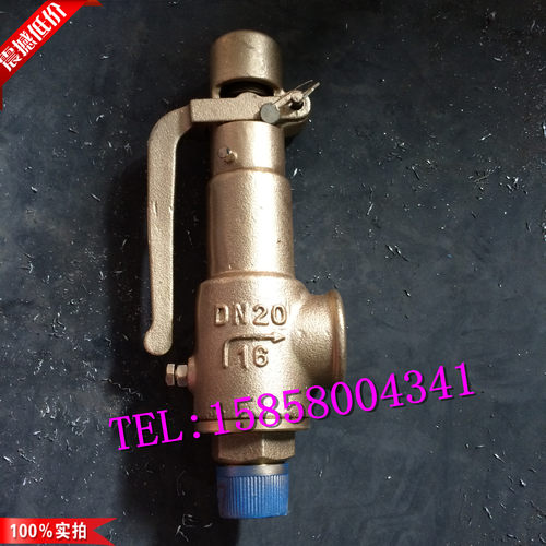 A28X-16T/25/40T-DN15/20/32罗浮西高铜螺纹带扳手弹簧式安全阀 - 封面
