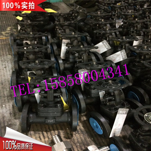 Z41Y-150LB/300LB法兰锻钢A105