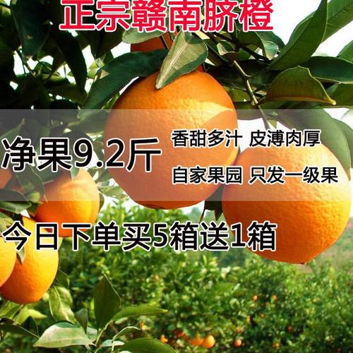 正宗江西华农兄弟赣南脐橙9斤
