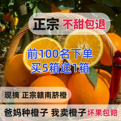 华农赣南脐橙新鲜10斤产地直发