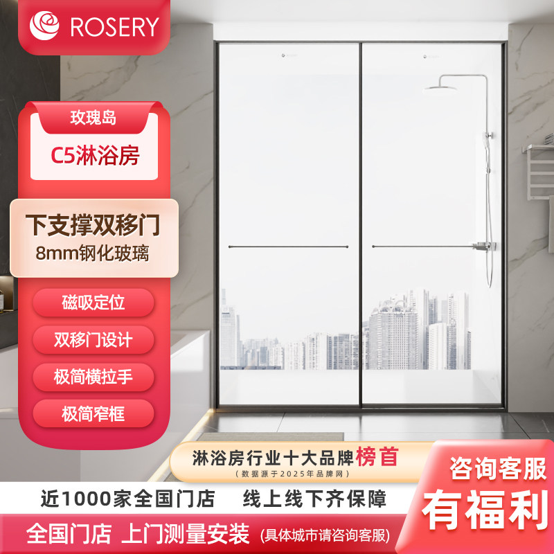 玫瑰岛淋浴房双移门下支撑一字型定制卫生间干湿分离隔断玻璃门C5