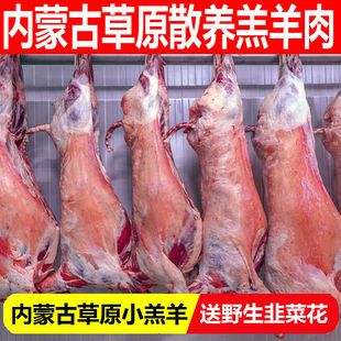 内蒙古羊肉新鲜45斤整只白条羊烤全羊腿羊排羊脊骨手把肉整只绵羊