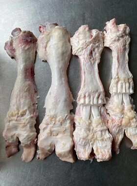 商用牛蹄筋生鲜内蒙古新鲜精修
