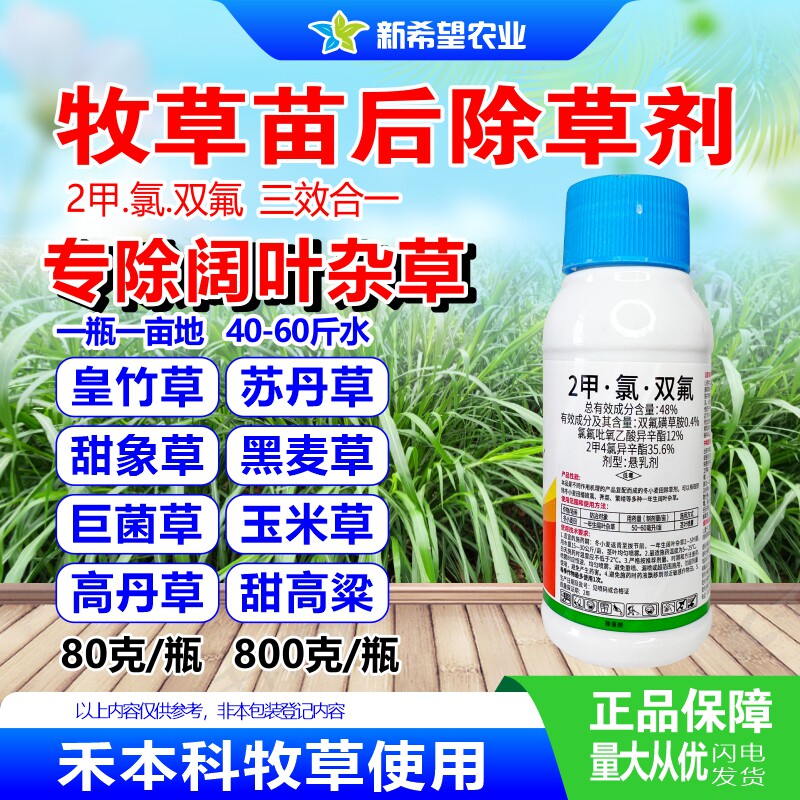 皇竹草黑麦草甜象草巨菌草牧草除草剂 除阔叶杂草 2甲氯双氟农药
