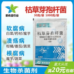 枯草芽孢杆菌 叶菜白菜类芹菜根腐病软腐病柑橘溃疡病农药杀菌剂