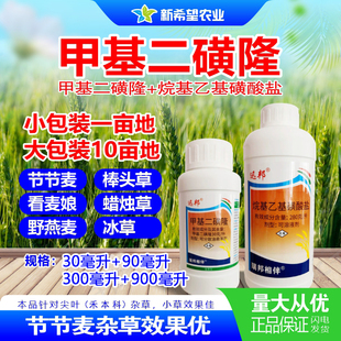 甲基二磺隆 小麦除尖叶草 小麦除草剂专除节节麦棒头草杂草除草剂