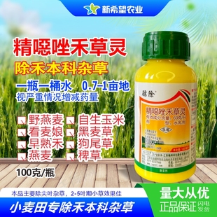 精噁恶唑禾草灵 小麦田苗后专用除草剂 看麦娘野燕麦黑麦草稗草药