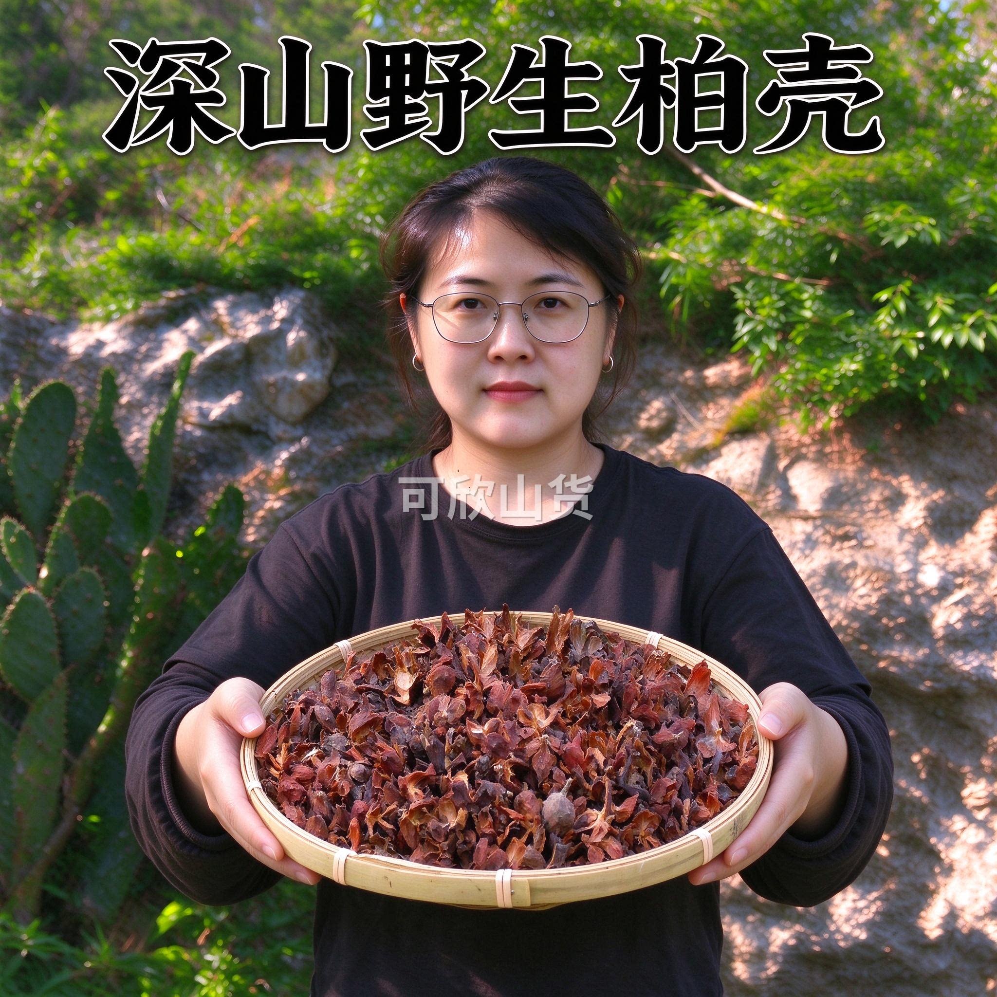 山东野生侧柏壳 枕头填充料柏树壳柏子壳侧柏壳枕头原料散装
