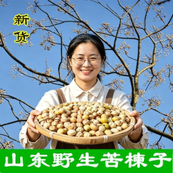 新鲜野生苦楝子粉楝实金铃子中药材蔬菜杀虫剂驱虫酵素川楝子洗头