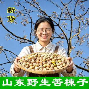 新鲜野生苦楝子粉楝实金铃子中药材蔬菜杀虫剂驱虫酵素川楝子洗头