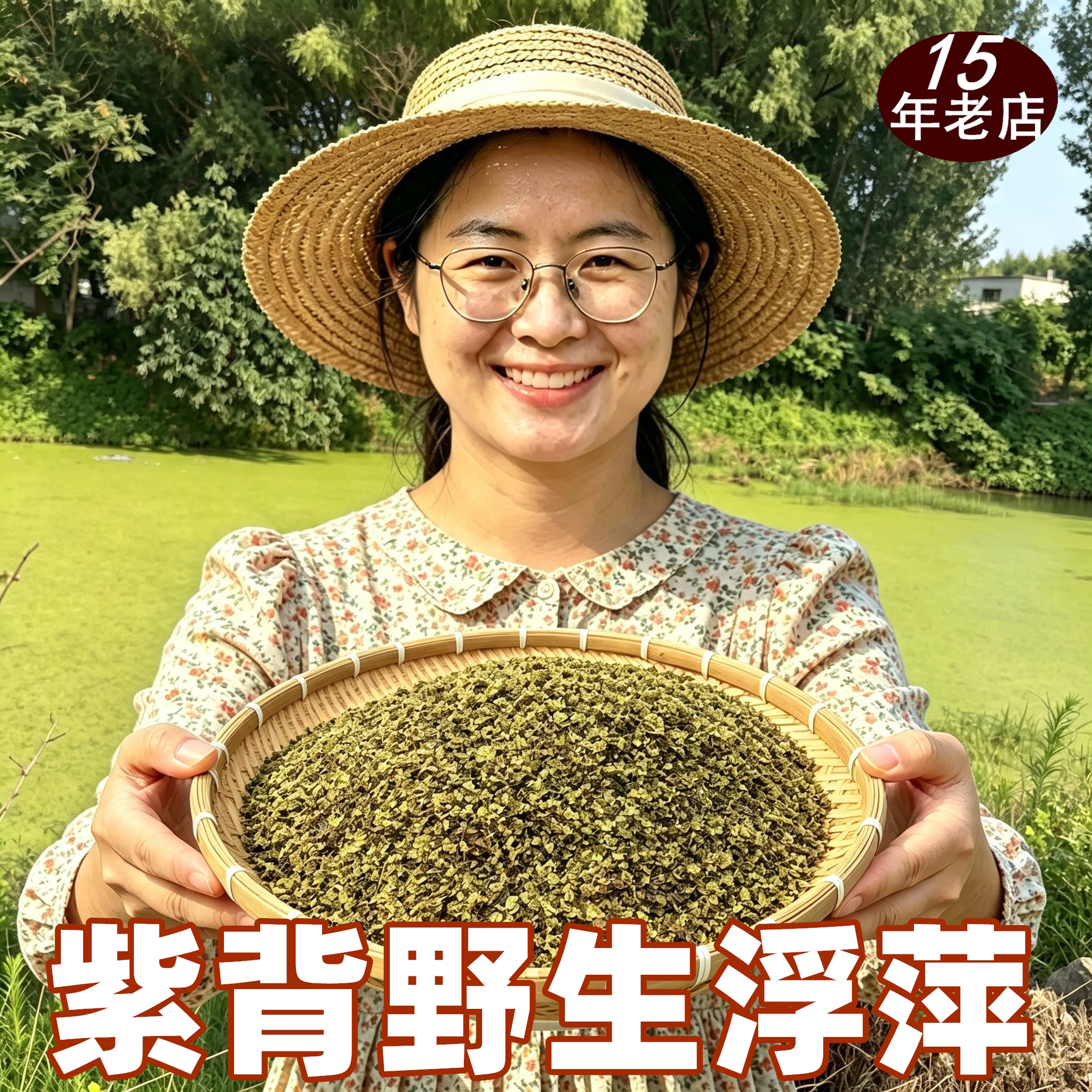野生紫背浮萍中药材洗发图片