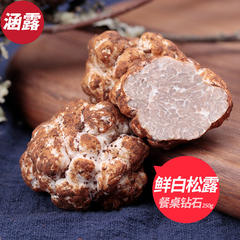 新鲜白松露云南特产野生菌非意大利白松露可炸松露油顺丰包邮250g