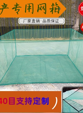 定做10目水产养网箱泥鳅黄鳝鱼苗龙虾螃蟹存鱼养殖网箱尼龙渔网箱