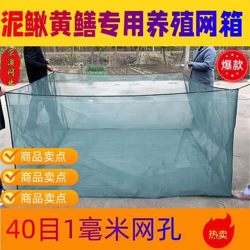 40目泥鳅黄鳝鱼苗养殖网箱