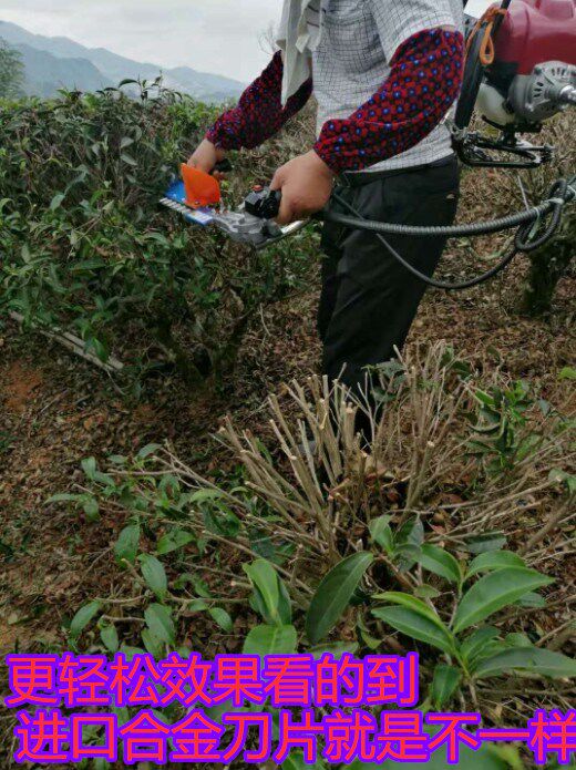 茶益侬绿篱机茶叶树剪刀架 总程大挡板配件汽油背负式 重修王单i.