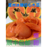 正宗雷州木瓜樹上自然熟