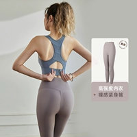 Фитнес -наряд [привинченная серая + темно -коричневая]