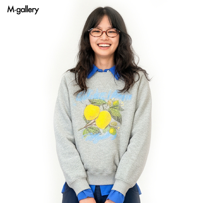 MGallery复古水果插画印花卫衣