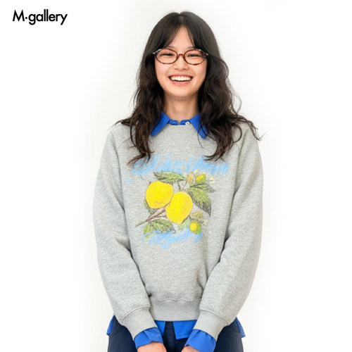MGallery复古水果插画印花卫衣