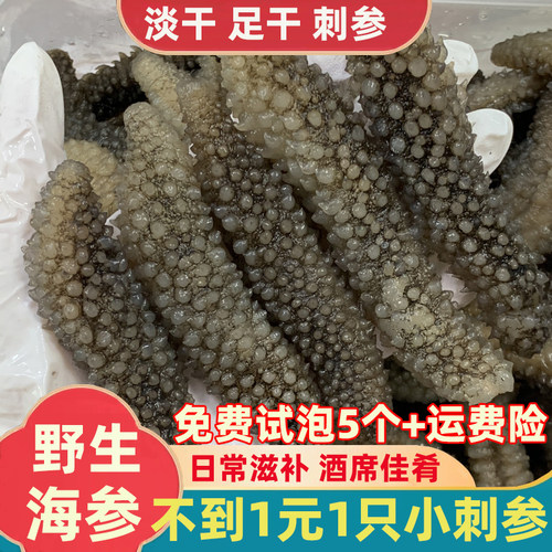 新品天然野生海参干货500g特价深海印尼小海参刺参淡干海鲜干货