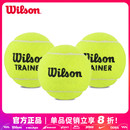 Wilson威尔胜网球威尔逊无压球耐磨耐打初学者练习专业比赛训练球