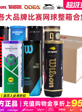 Wilson/史莱辛格/欧帝尔Passion/康龙/天龙Pound P4训练比赛网球