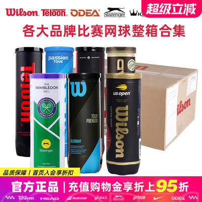 Wilson/史莱辛格/欧帝尔Passion/康龙/天龙Pound P4训练比赛网球