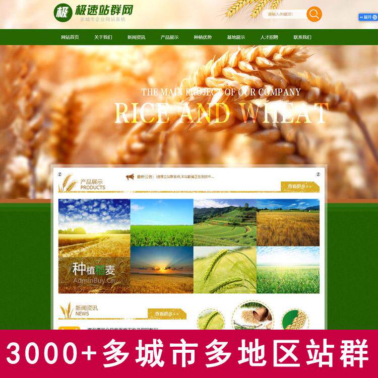 城市分站群网站优化推广搭建定制开发源码二级目录响应式php模板