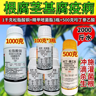 槟榔根腐病死棵烂苗杀菌套餐组合杀菌促生根杀菌剂农药正品