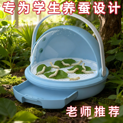 蚕宝宝学生养蚕套餐活体