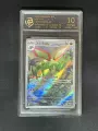 10-Point Rating Card/Desert Dragonfly