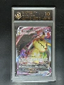 10-Point Rating Card/Mimigaki Vmax