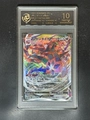 10-Point Rating Card/Wiji Taina Vmax