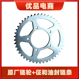 适用于豪爵骊驰GW250F GSX250R DL250套链原装链轮牙盘油封链条